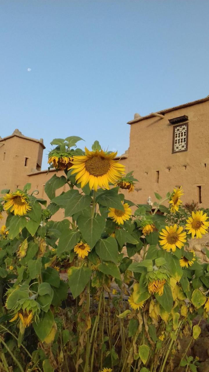 Kasbah Izoran Ξενοδοχείο Midelt Εξωτερικό φωτογραφία