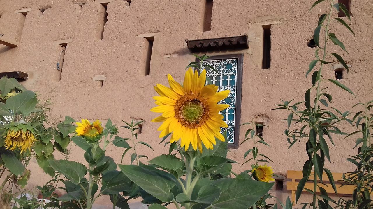 Kasbah Izoran Ξενοδοχείο Midelt Εξωτερικό φωτογραφία