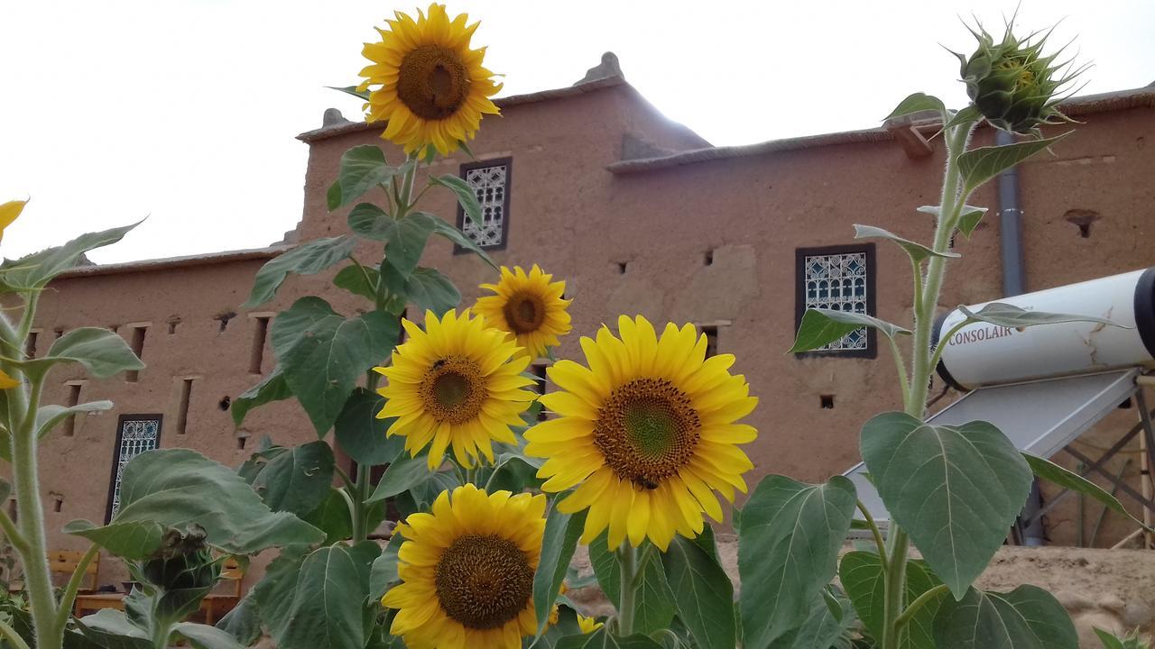 Kasbah Izoran Ξενοδοχείο Midelt Εξωτερικό φωτογραφία